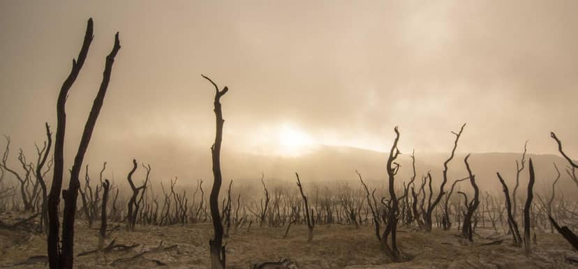 Unauth title BQPfIEMX